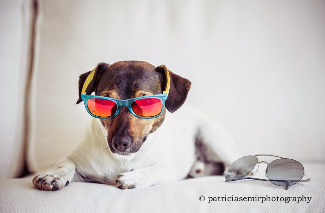 Las nuevas gafas de sol